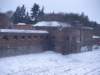 p1017104_small.jpg