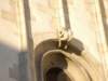 pc266555_small.jpg