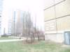 pc306749_small.jpg