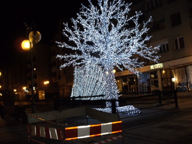 dscf0018.jpg