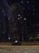 dscf0063_small.jpg