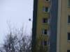 dscf0080_small.jpg