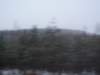 p9120004_small.jpg