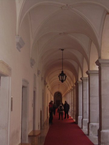 p9120035.jpg