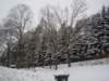 p9120059_small.jpg