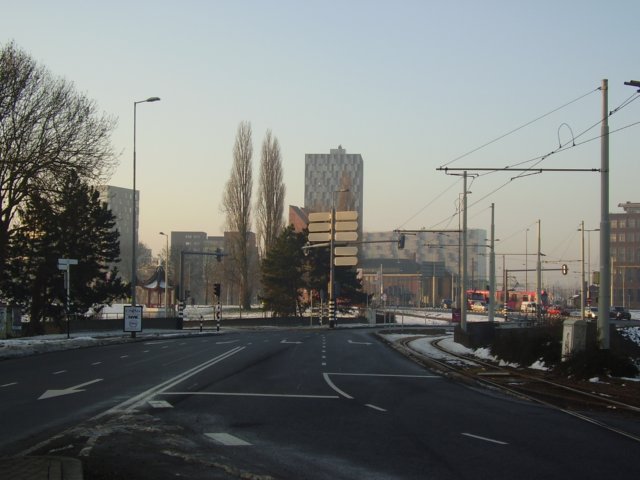 p9150138.jpg