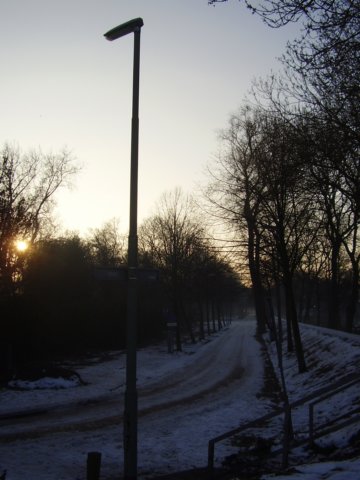 p9150139.jpg
