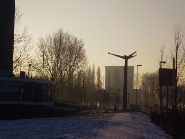 p9150143.jpg