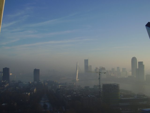 p9150169.jpg
