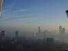 p9150169_small.jpg