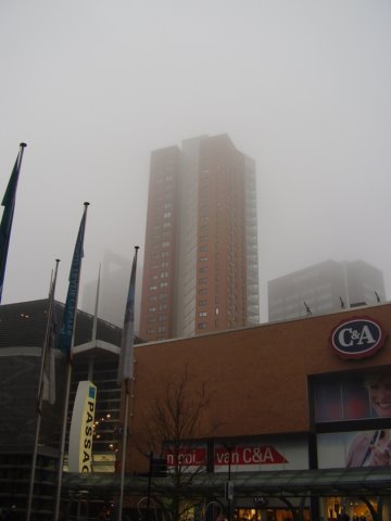 p9160195.jpg