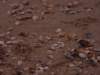 _1644147435167_1581306033_1470819_6034359_n_small.jpg