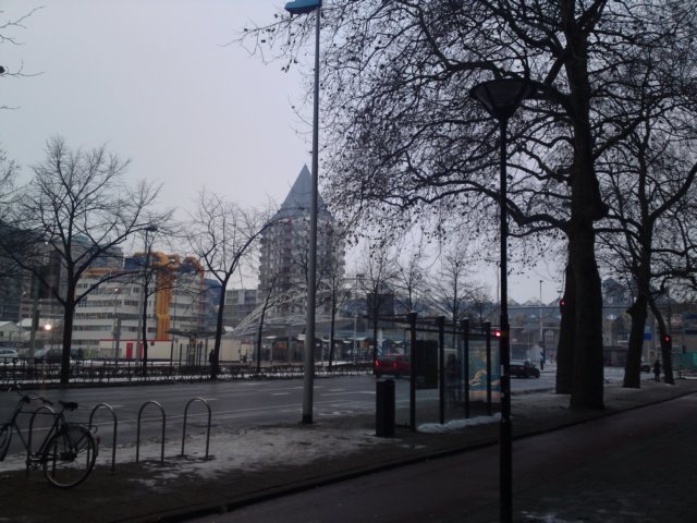 photo32.jpg