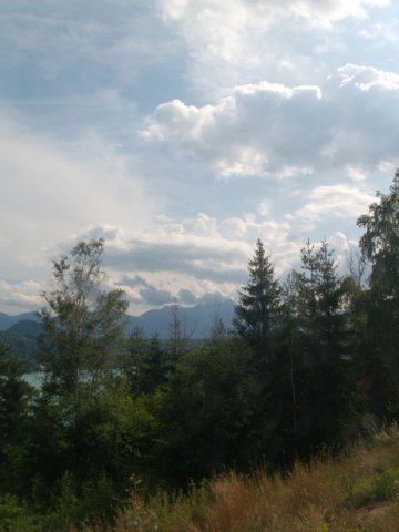 p6291544.jpg
