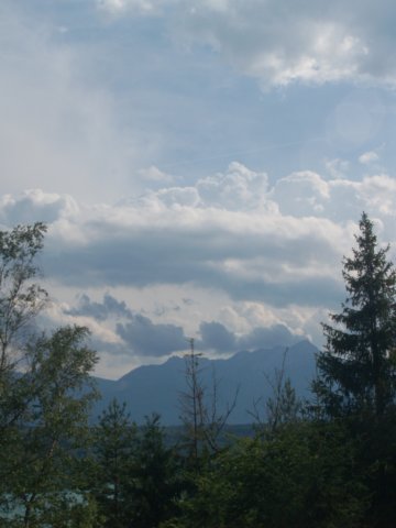 p6291545.jpg