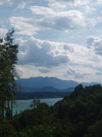 p6291548.jpg