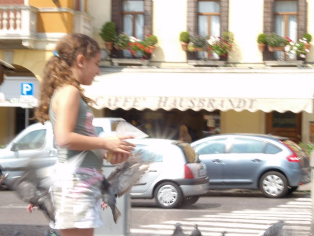 p6301576.jpg