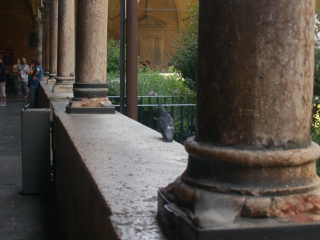 p6301605.jpg