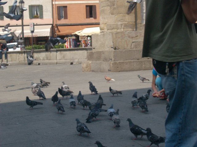 p6301612.jpg