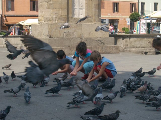 p6301614.jpg