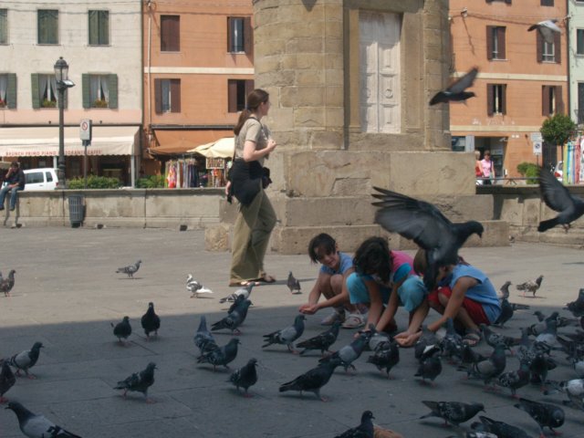 p6301616.jpg