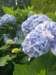 p7011630_small.jpg