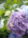 p7011632_small.jpg