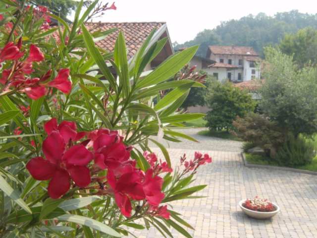 p7011636.jpg