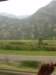 p7011693_small.jpg