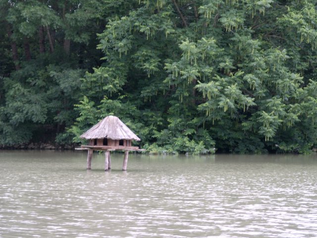 p7041792.jpg