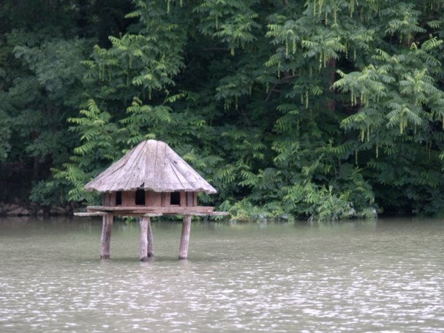 p7041794.jpg