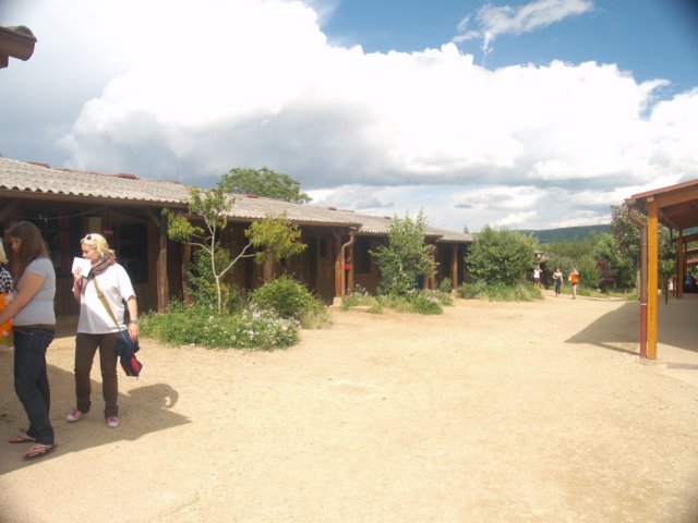 p7041814.jpg