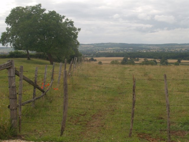 p7051885.jpg