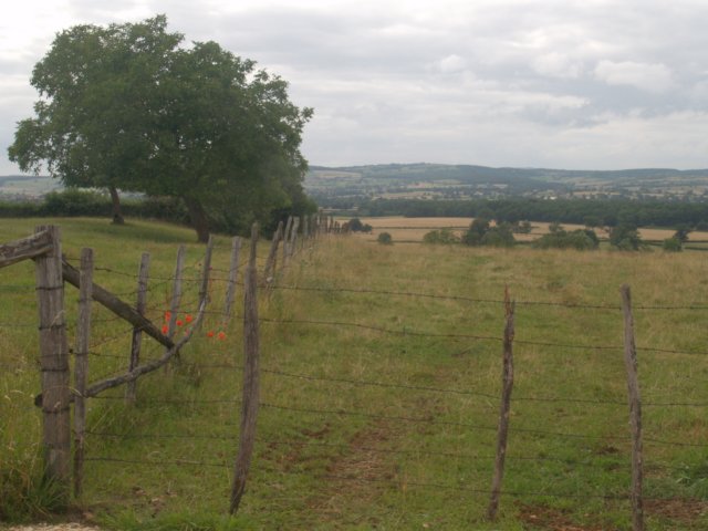 p7051886.jpg