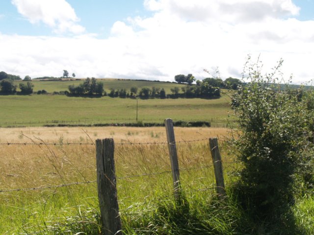 p7061931.jpg