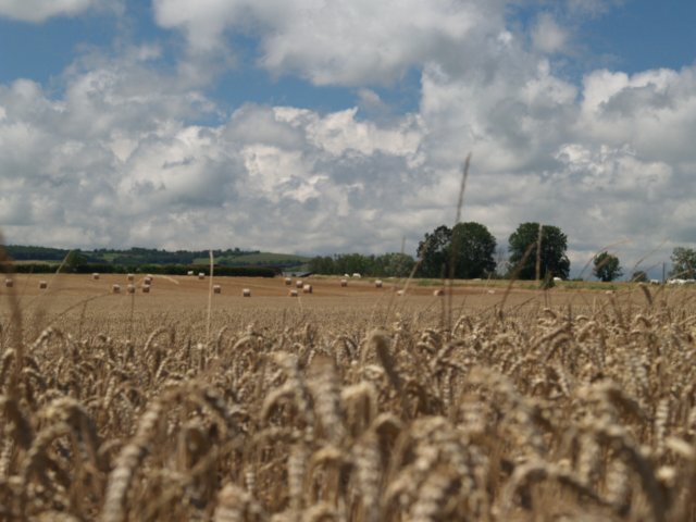 p7061941.jpg