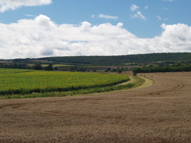 p7061952.jpg