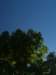 p7072007_small.jpg