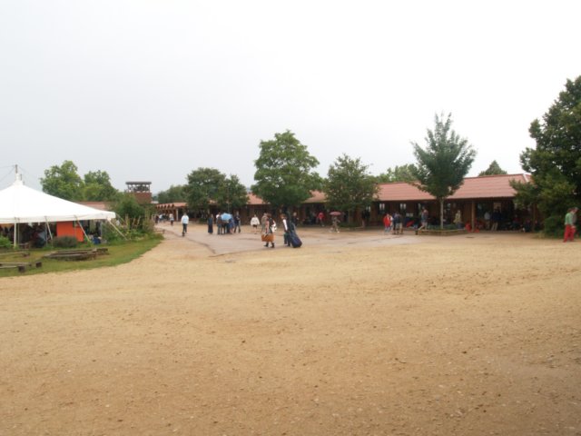 p7082021.jpg