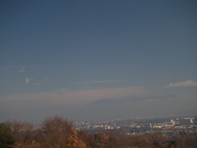 p1017627.jpg