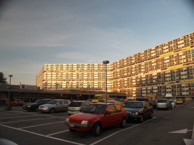 p1017669.jpg