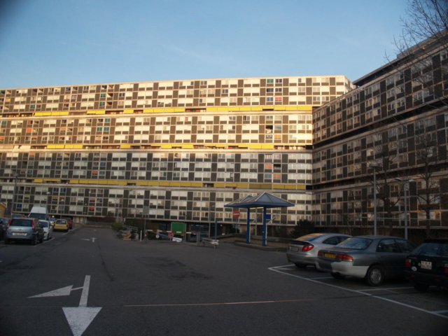 p1017670.jpg