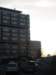 p1017674_small.jpg