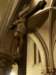 pc267147_small.jpg