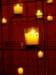 pc287235_small.jpg