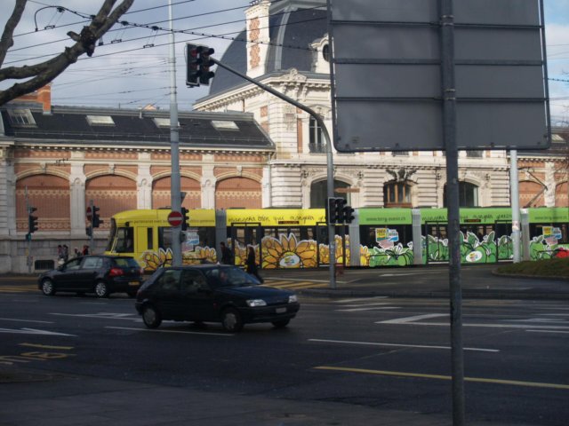 pc307295.jpg