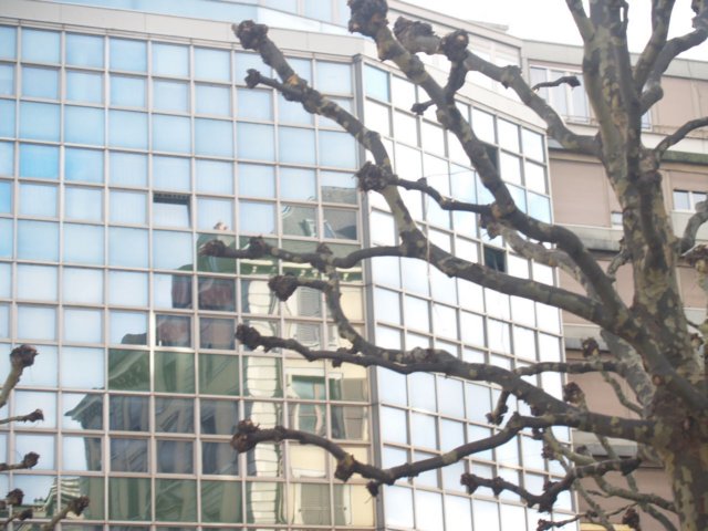 pc307299.jpg