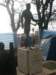 pc307423_small.jpg