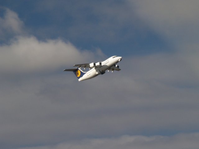 pc317496.jpg
