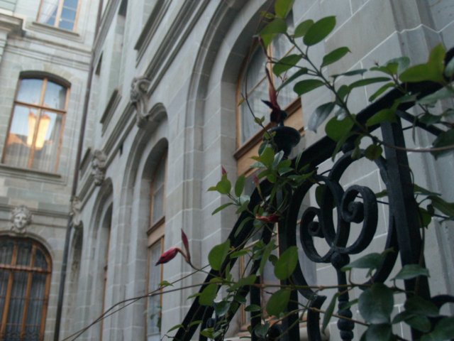 pc317529.jpg